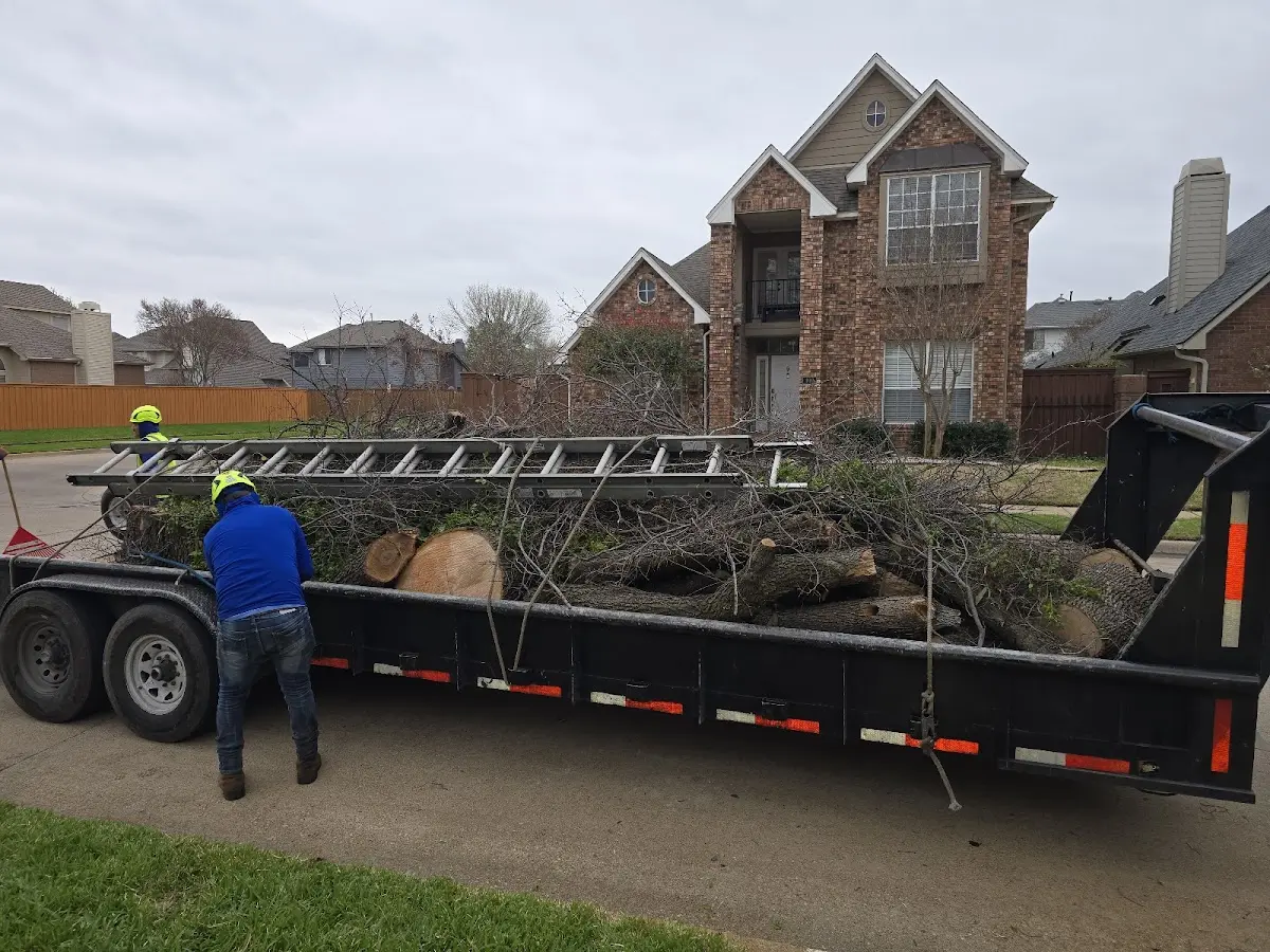 Expert Tree Fertilization with proper safety equipment in Arkansas City